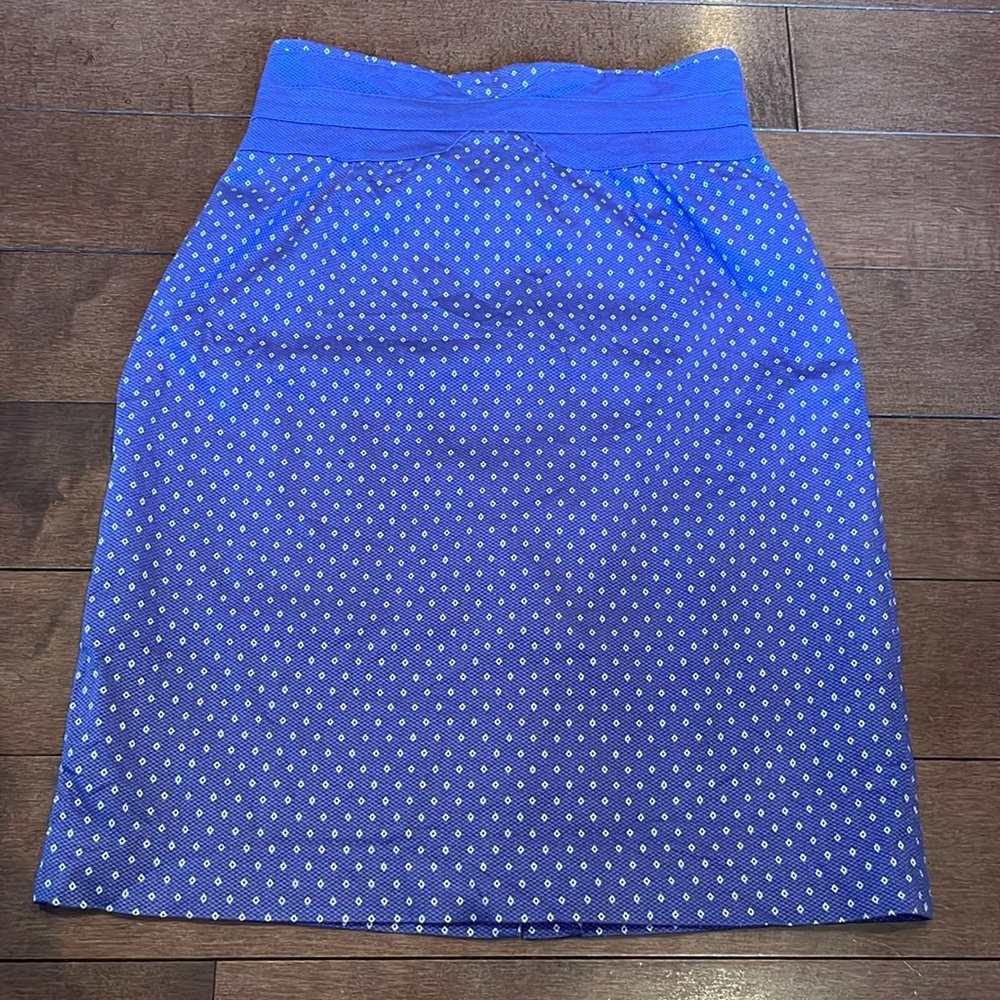 Blue Pencil Skirt